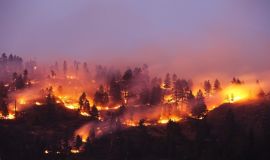 اليونان.. اندلاع النيران في غابات قرب أثينا تزامنا مع اقتراب موسم الحرائق